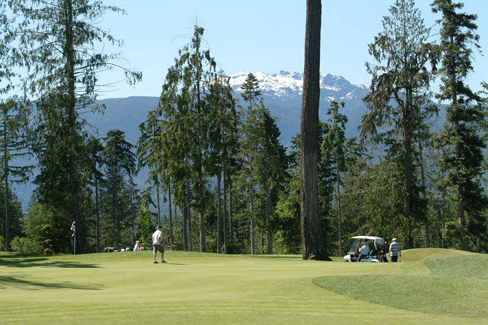 Trees on golf course fairway