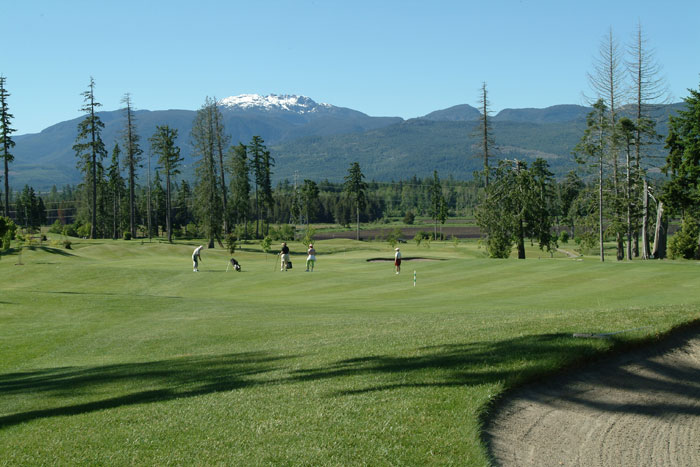 View of golf course green