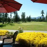 View from the patio at Micky J's Bar + Grill