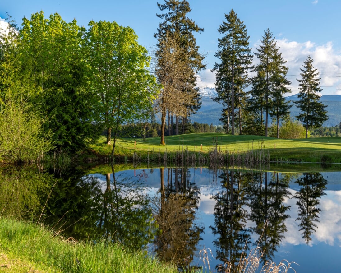 Golf course trees and pond